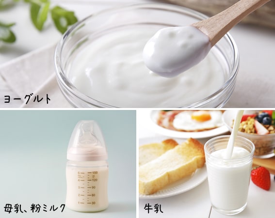 母乳、牛乳、ヨーグルトなどに含まれるガラクトオリゴ糖